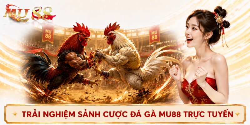 sảnh đá gà mu88 trực tuyến