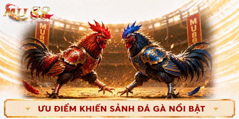 ưu điểm sảnh đá gà mu88